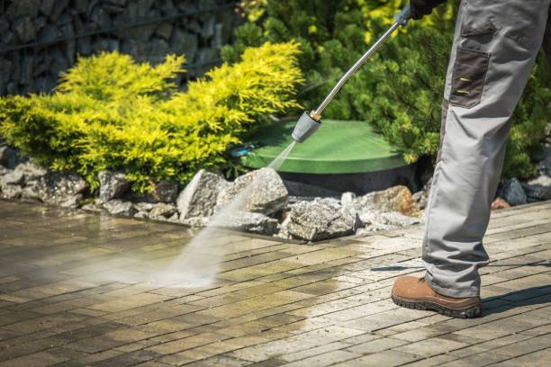 Best Animal Enclosure Cleaning  in Frazeysburg, OH